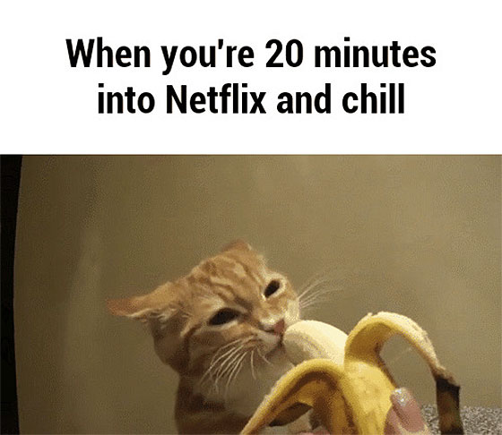 Netflix and chill