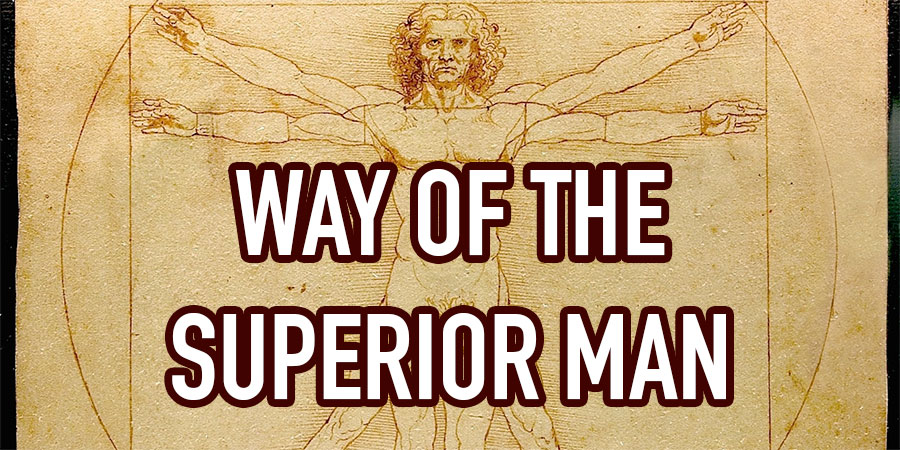 book review: the way of the superior man