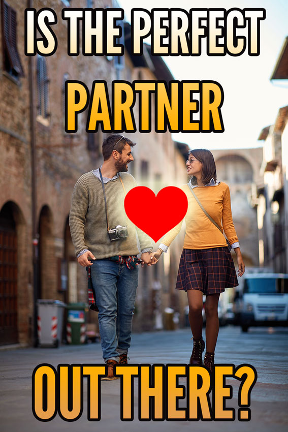 perfect partner