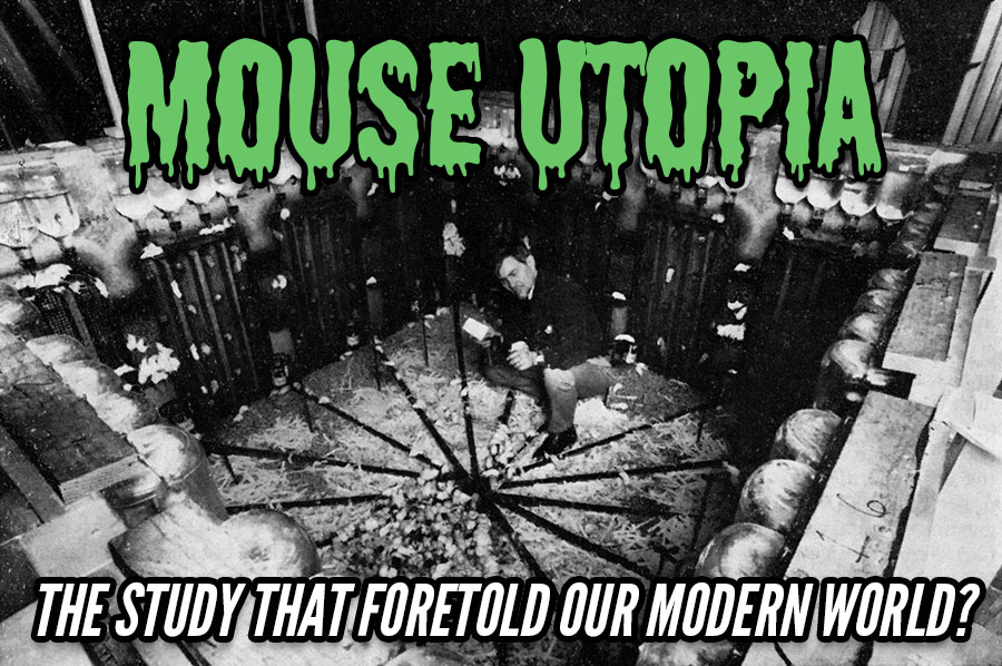 mouse utopia