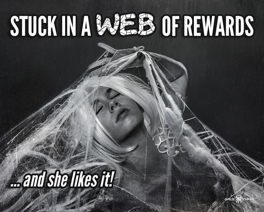 reward spiderweb