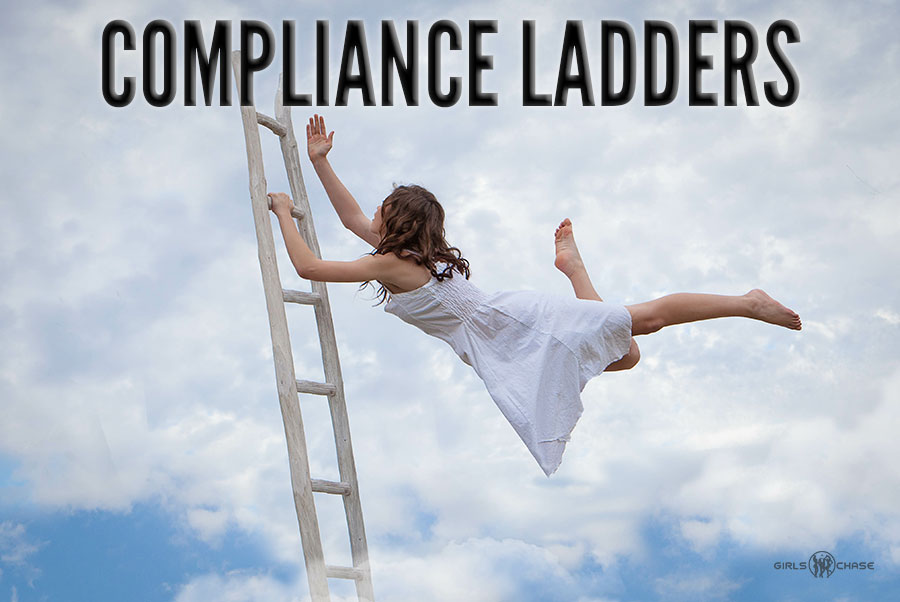 simple compliance ladders