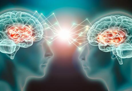 mirror neurons in seduction