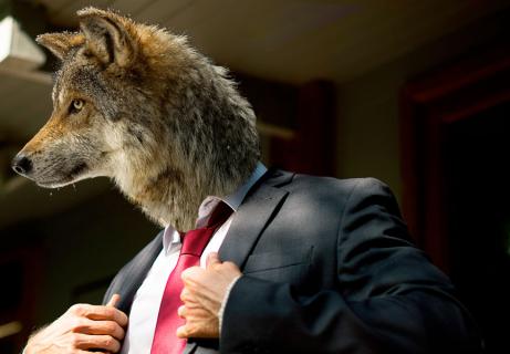 suit-wearing wolf