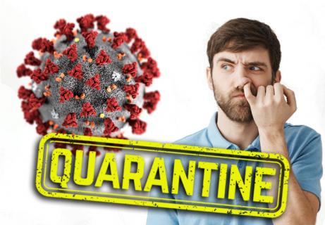 coronavirus quarantine things to do