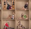 How to Build a Harem: Compartments and Precedent